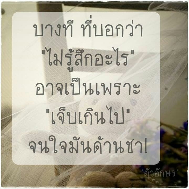 83 อกหักมันเจ็บ แซวคนอ้วน – คำคมอกหัก